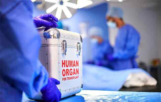अरे बाप रे! ‘या’ गावात ४० टक्के ग्रामस्थांकडे एकच किडनी