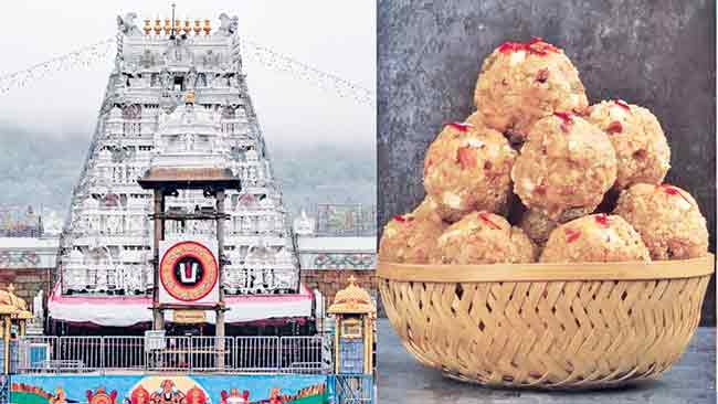 तिरुपती लाडू प्रसादासाठी  ६८ लाख किलो बनावट तूप