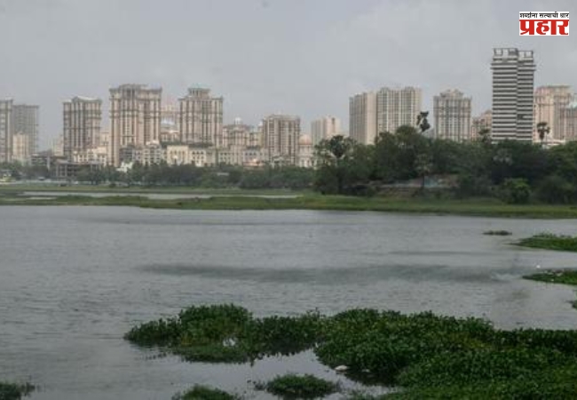 पवई तलावातील जल प्रदूषण रोखणार, ईस्ट इंडिया कंपनीची महापालिकेने केली निवड