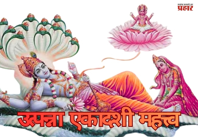 उत्पन्ना एकादशीचे महत्त्व आणि पाळा हे नियम! जाणून घ्या सविस्तर…