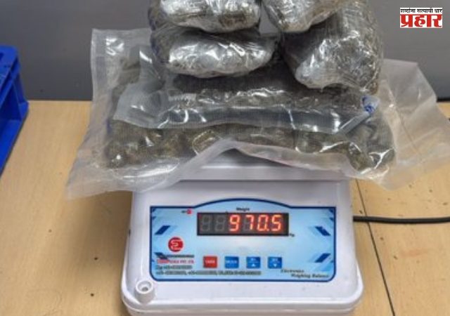 दिल्ली विमानतळावर भारतीय महिलेकडे मिळाला ९७० ग्रॅम हायड्रोपोनिक गांजा!