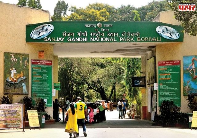 संजय गांधी उद्यानातून जाणाऱ्या जुळ्या बोगद्याच्या प्रवेशद्वारावर घडणार वाघाचे दर्शन