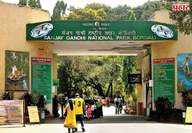 संजय गांधी उद्यानातून जाणाऱ्या जुळ्या बोगद्याच्या प्रवेशद्वारावर घडणार वाघाचे दर्शन