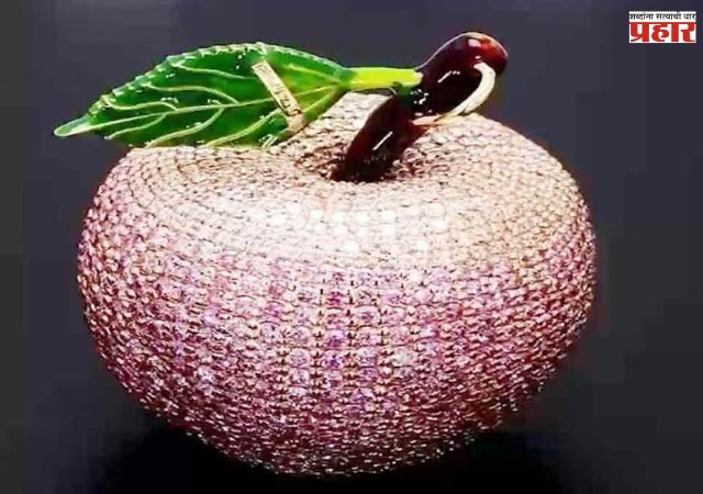 सोन्याचे सफरचंद! किंमत १० कोटी, इंडिया बुक ऑफ रेकॉर्डमध्ये नोंद