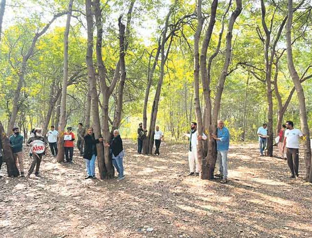 तपोवनाबाहेर झाडे लावता येतील, साधुग्राम उभारता येईल?