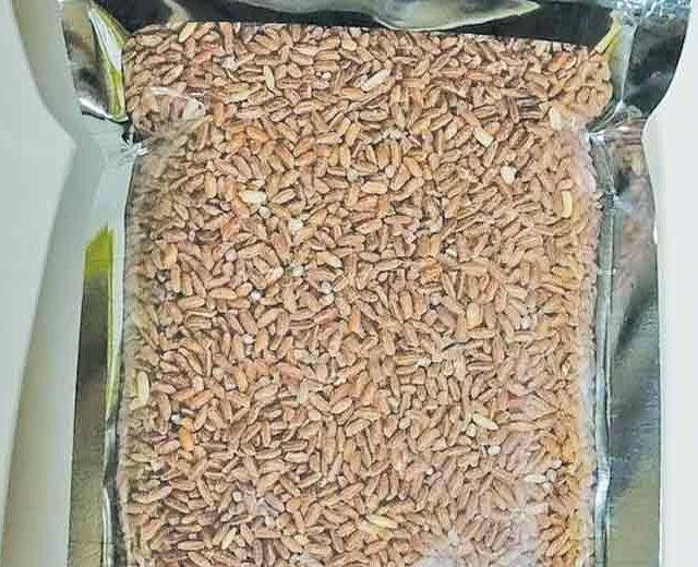 देवरूखच्या ‘सप्तलिंगी लाल भात’ची राष्ट्रीय बाजारात चमक