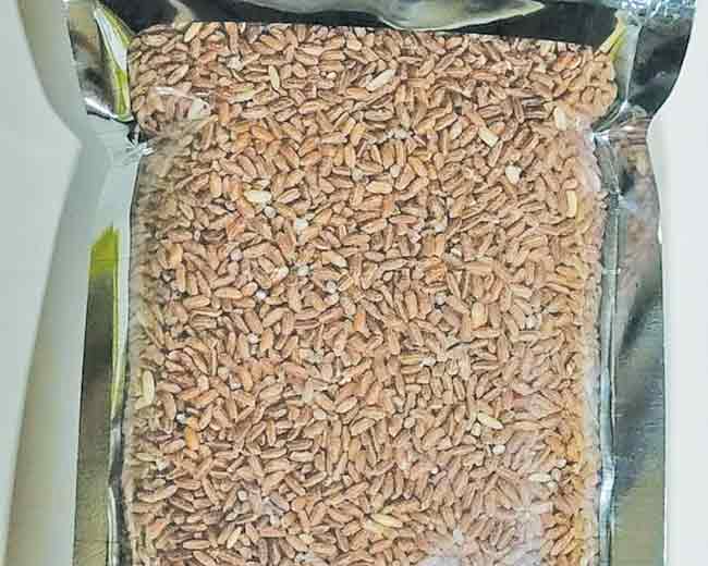 देवरूखच्या ‘सप्तलिंगी लाल भात’ची राष्ट्रीय बाजारात चमक
