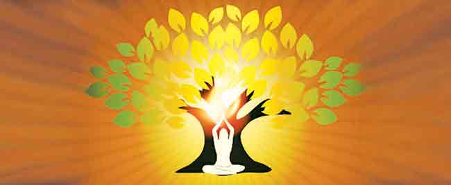 श्वासात उतरलेली कृती, वृत्तीच्या वाटेवरून