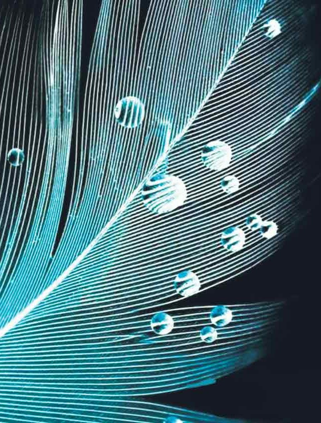 मृगजळाच्या लाटांत दीपस्तंभाची स्थिरता