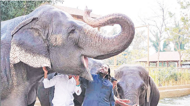 ‘वनतारा’च्या उद्दिष्टांचे जागतिक स्तरावर पुनरुज्जीवन