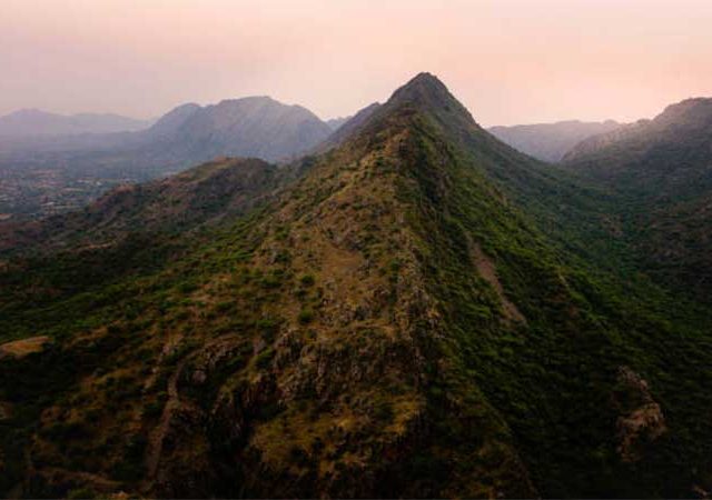 अरवलीची आरोळी