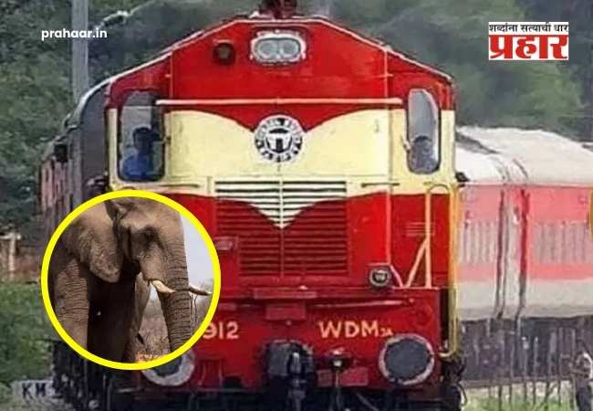 Rajdhani Express Accident : आसाममध्ये काळजाचा थरकाप! राजधानी एक्सप्रेसची हत्तींच्या कळपाला धडक, ८ हत्तीचं जागीच दुर्दैवी मृत्यू