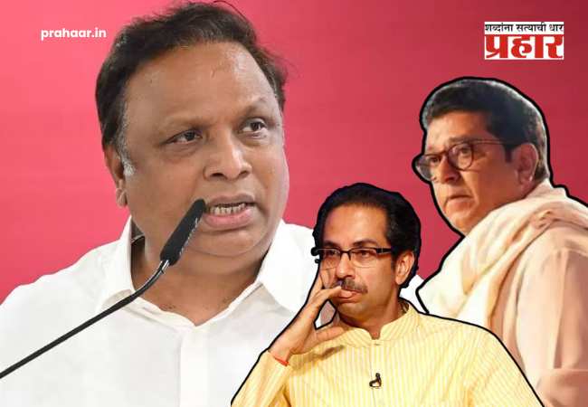 Ashish Shelar : “विठ्ठलाला घेरणाऱ्या बडव्यांशी आता गळ्यात गळे का?”; आशिष शेलारांचा राज-उद्धव युतीवर जहरी प्रहार!