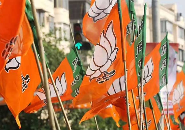 LIVE UPDATES : राज्यातील नगरपरिषदा, नगरपंचायतींच्या निकालात महायुतीचाच वरचष्मा