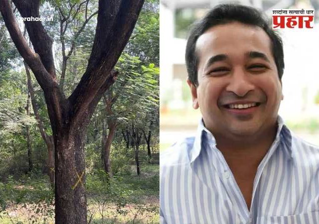 Nitesh Rane on Nashik Tree Cutting : 'वृक्षतोडीवर आक्षेप, मग बकरी कापताना गप्प का?' पर्यावरणाच्या नावाखाली राजकारण करणाऱ्यांना मंत्री नितेश राणेंचा तिखट सवाल!