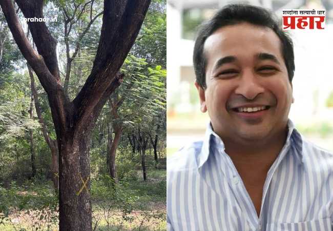 Nitesh Rane on Nashik Tree Cutting : ‘वृक्षतोडीवर आक्षेप, मग बकरी कापताना गप्प का?’ पर्यावरणाच्या नावाखाली राजकारण करणाऱ्यांना मंत्री नितेश राणेंचा तिखट सवाल!