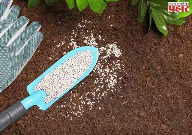 नवी मुंबईत कचऱ्यापासून निर्मित खताला मानांकित ओळख