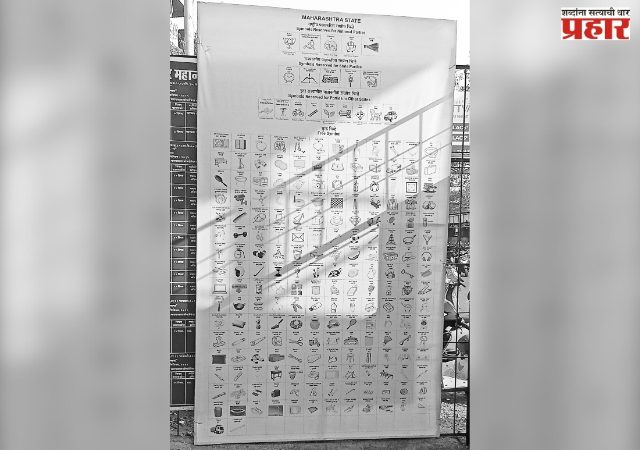 हिरवी मिरची घेणार की, ढोबळी मिरची?