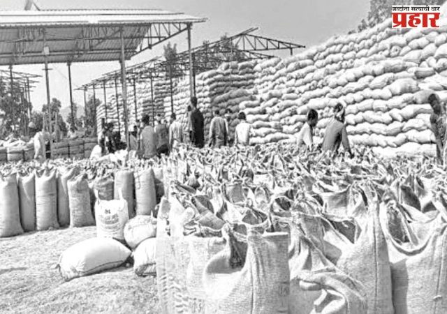 मुरबाडमधील शेतकऱ्यांच्या खात्यात बोनस जमा होण्यास सुरुवात