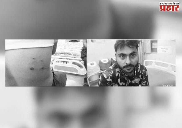 नागावमधील बिबट्या आता आक्षी साखरेत!