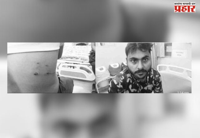 नागावमधील बिबट्या आता आक्षी साखरेत!