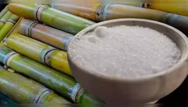 देशाच्या साखर उत्पादनात महाराष्ट्राची आघाडी