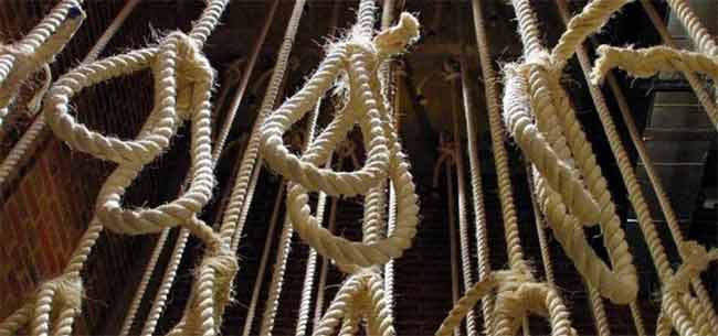 सौदी अरेबियामध्ये एका वर्षात ३४० लोकांना फाशी देण्यात आली