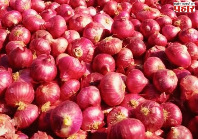 पाच हजार कोटींच्या कांदा घोटाळ्याची चौकशी सुरू