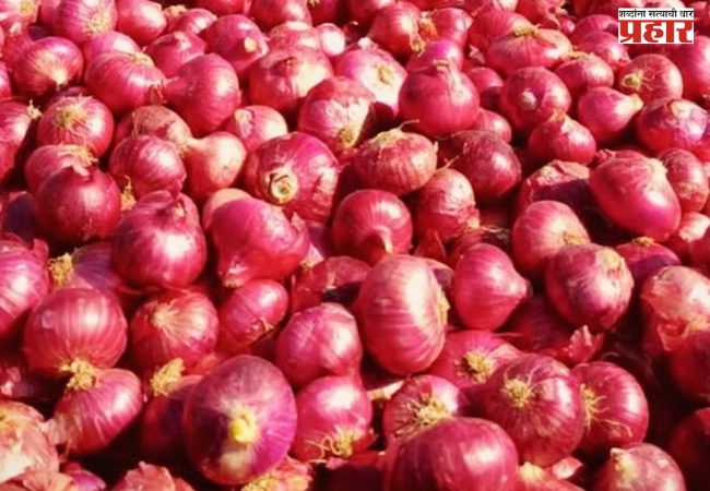 पाच हजार कोटींच्या कांदा घोटाळ्याची चौकशी सुरू