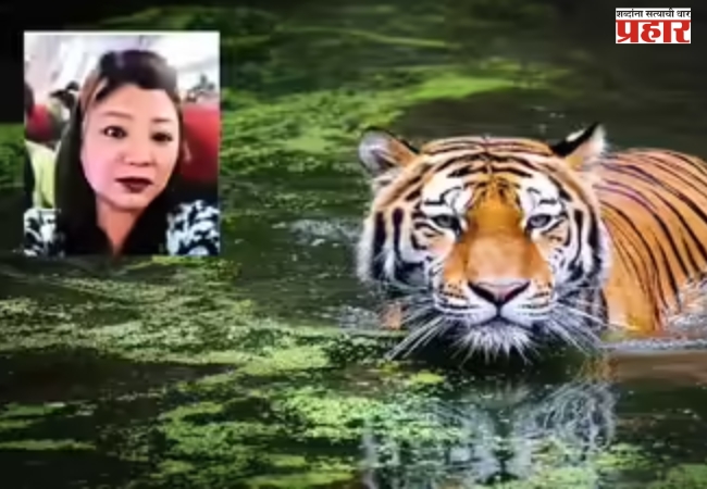 भारत-चीन सीमेजवळ मोस्ट वॉन्टेड महिला वाघ तस्कराला अटक