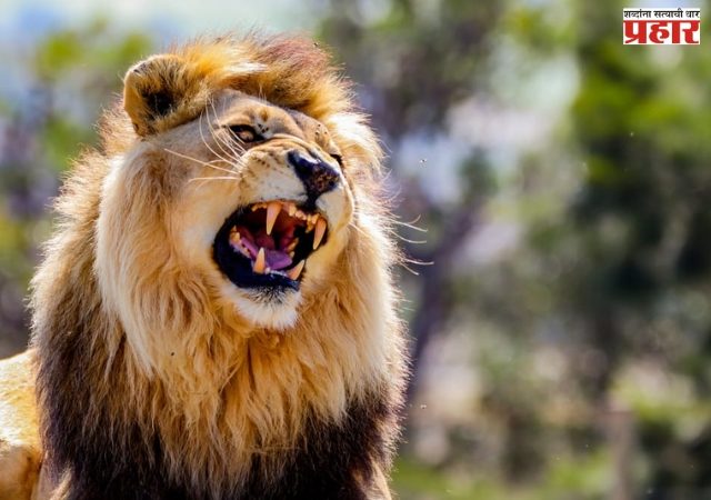 भाषणाची भीती