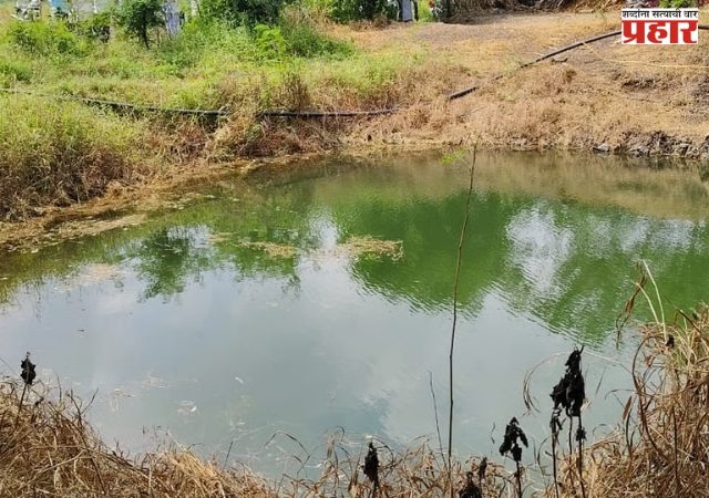 विहिरीतील मोटार काढताना काळाचा घाला; धाराशिवमध्ये बाप-लेकासह चौघांचा दुर्दैवी मृत्यू