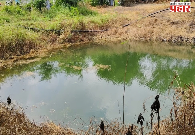 विहिरीतील मोटार काढताना काळाचा घाला; धाराशिवमध्ये बाप-लेकासह चौघांचा दुर्दैवी मृत्यू