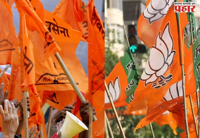 जिल्ह्यात दहा नगर परिषदांमध्ये धक्कादायक निकाल