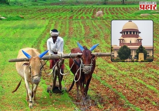 वनजमीन शेतीसाठी भाड्याने देणे बेकायदेशीर