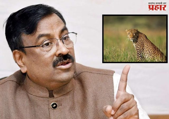 सभागृहात मंत्री येत नसतील, तर त्यांच्यावर बिबटे सोडा - सुधीर मुनगंटीवार