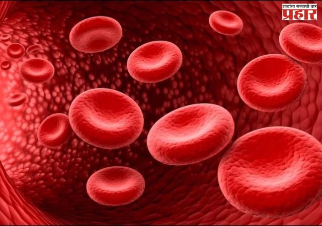 जिल्ह्यात सिकलसेल आजाराबाबत जनजागृती