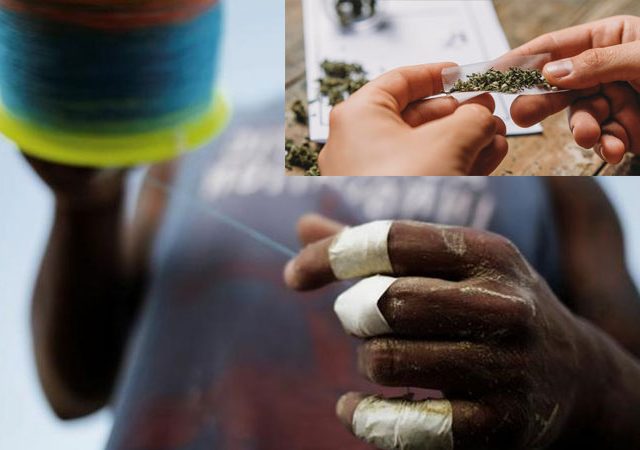 बंदी असलेल्या गांजा आणि चायनीज मांजाची पुण्यात राजरोस विक्री