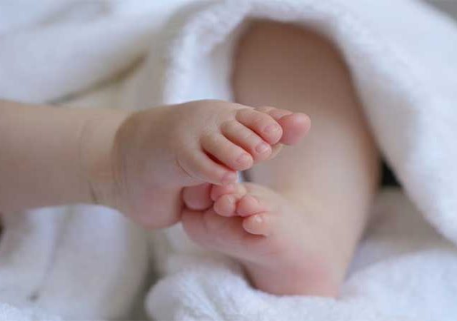 कचऱ्यात आढळले मृत नवजात अर्भक