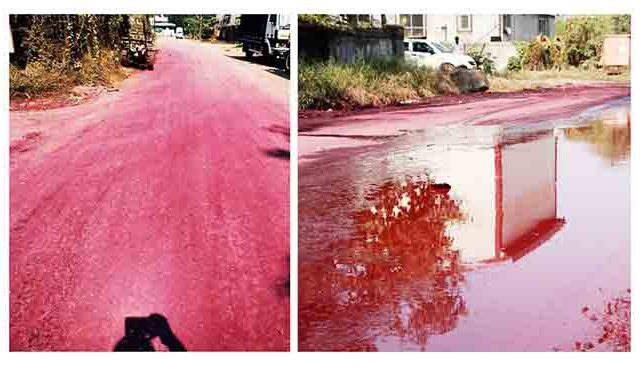 डोंबिवलीत रस्ता झाला गुलाबी प्रदूषणाचा प्रश्न ऐरणीवर