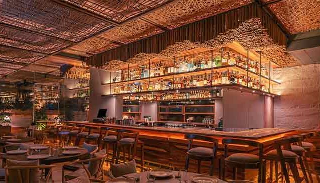 नववर्षाच्या स्वागतापूर्वी रात्री रेस्ट्रोबार, पब आणि मॉल्समध्ये विशेष तपासणी