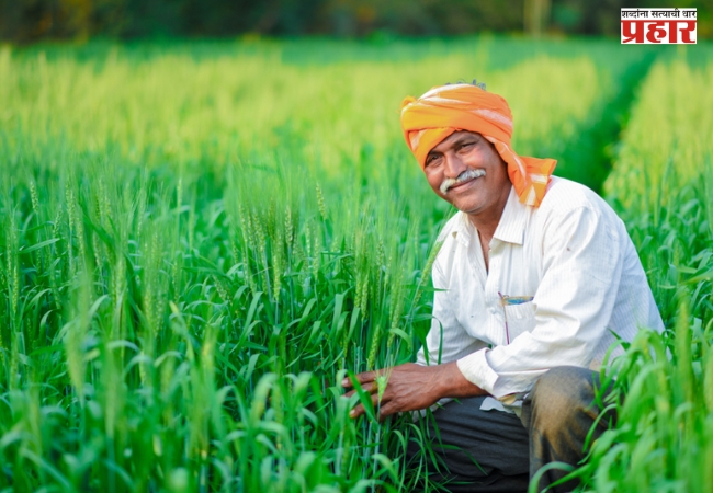 खरीप हंगाम २०२४–२५;मका,ज्वारी सह भरड धान्य खरेदीसाठी शेतकरी नोंदणीला ३१ डिसेंबरपर्यंत मुदतवाढ