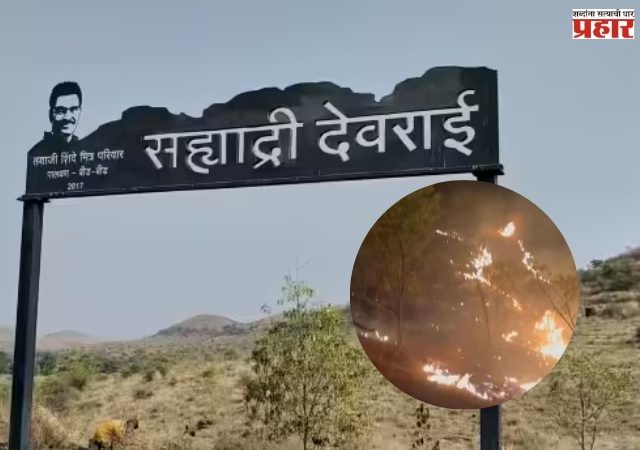 सयाजी शिंदेंच्या ‘सह्याद्री देवराई ’ प्रकल्पाला आग! नेमकं कारण काय?