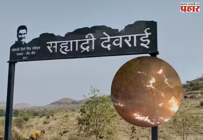 सयाजी शिंदेंच्या ‘सह्याद्री देवराई ’ प्रकल्पाला आग! नेमकं कारण काय?