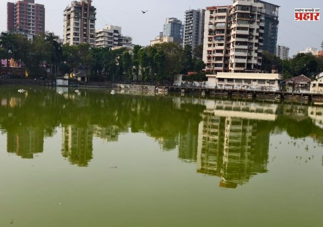 वांद्रे तलाव बनले बकाल, तलावात शेवाळयुक्त दुर्गंधी पाणी आणि कचरा
