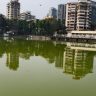 वांद्रे तलाव बनले बकाल, तलावात शेवाळयुक्त दुर्गंधी पाणी आणि कचरा