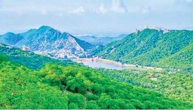 अरावली पर्वतरांगेतील ९० टक्के क्षेत्र संरक्षित