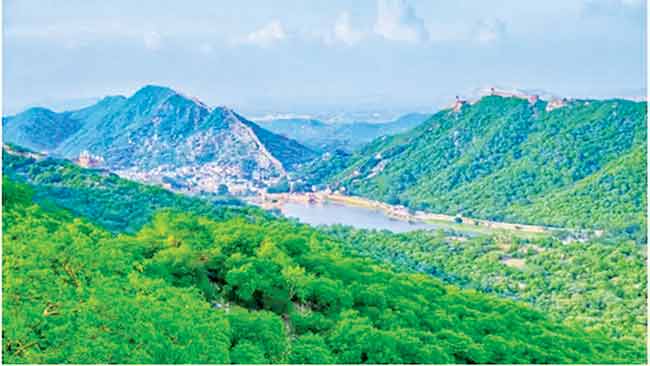 अरावली पर्वतरांगेतील ९० टक्के क्षेत्र संरक्षित