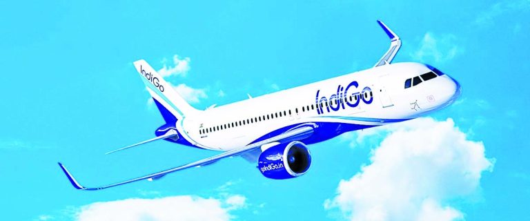 इंडिगोच्या विलंबामुळे २१ मंत्री, आमदारांची गैरसोय