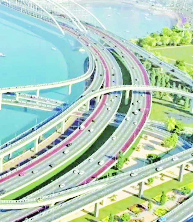 कोस्टल रोडसाठी ९ हजार खारफुटीच्या झाडांचा बळी!